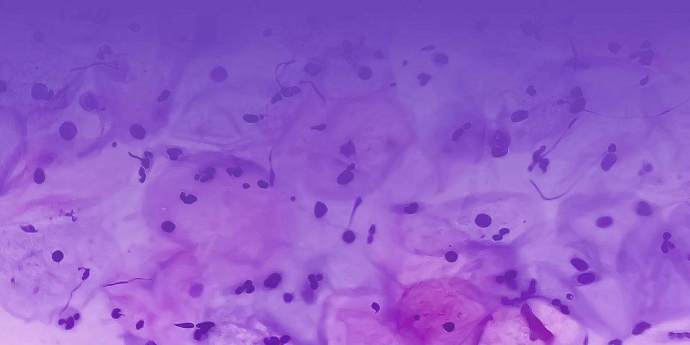 Скидка 15% на цифровые микроскопы Discovery Artisan