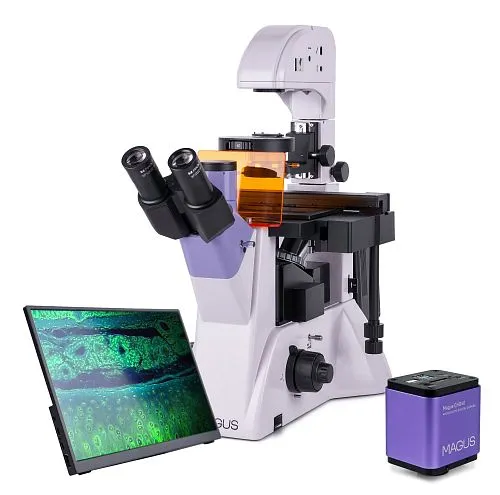 Микроскоп люминесцентный инвертированный цифровой MAGUS Lum VD500 LCD,  1
