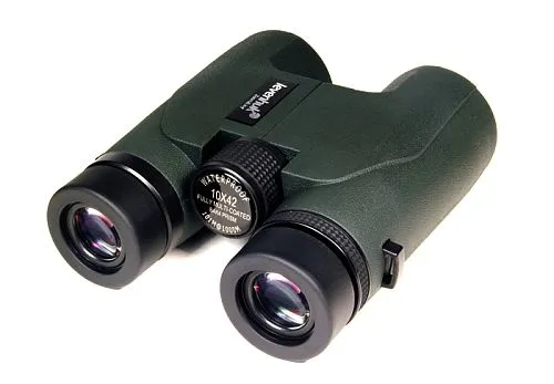 Бинокль Levenhuk Energy PLUS 10x42