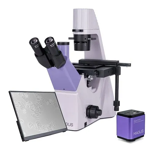 Микроскоп биологический инвертированный цифровой MAGUS Bio VD300 LCD,  1