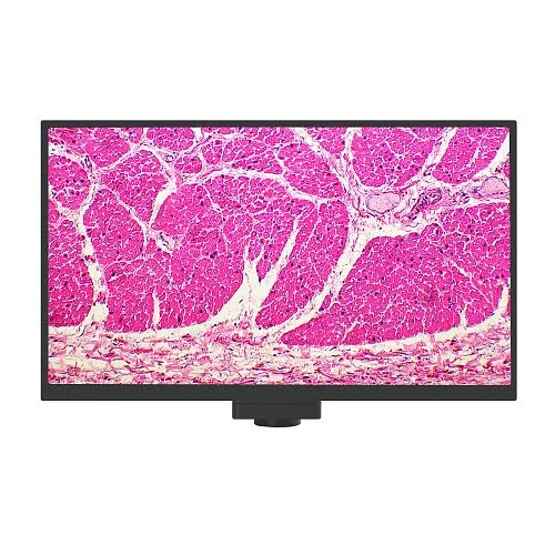 Камера цифровая MAGUS Vision 80 LCD,  1
