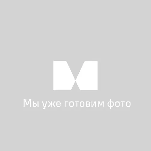 Окуляр MAGUS ESM10 10х/22 мм со шкалой стандарта ASTM E112 (D 30 мм),  1