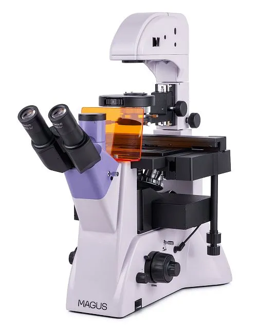 Микроскоп люминесцентный инвертированный MAGUS Lum V500L,  1