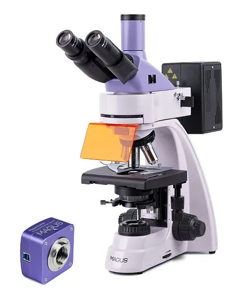 Микроскоп люминесцентный цифровой MAGUS Lum D400,  1
