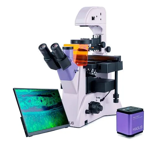 Микроскоп люминесцентный инвертированный цифровой MAGUS Lum VD500L LCD,  1