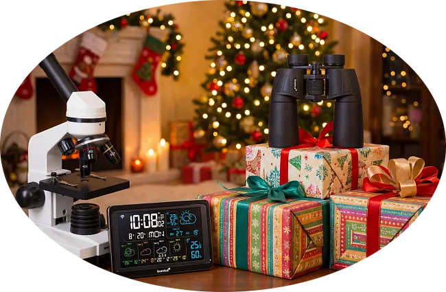 Когда любопытство — лучший повод для новогоднего подарка