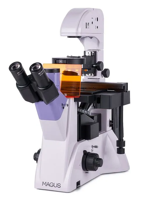 Микроскоп люминесцентный инвертированный MAGUS Lum V500,  1