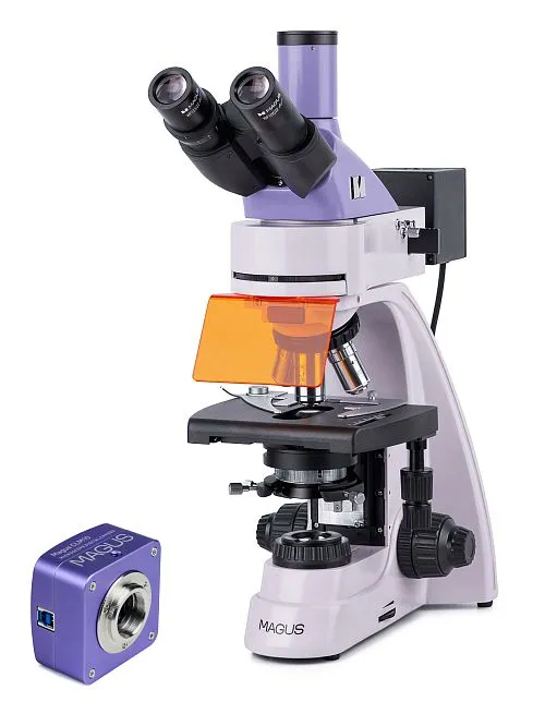 Микроскоп люминесцентный цифровой MAGUS Lum D400L,  1