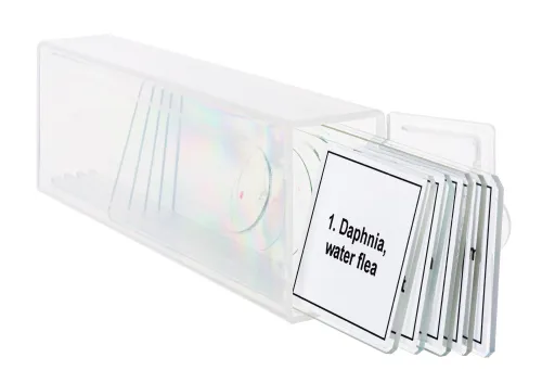 Набор микропрепаратов Levenhuk Discovery Prof DPS 5. «Жизнь в капле воды»,  5