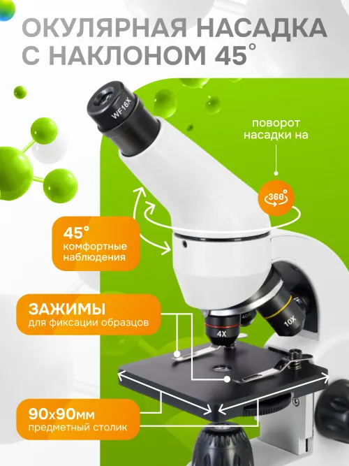 Микроскоп Levenhuk Rainbow 50L PLUS,  29