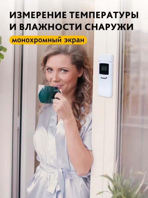 Термометр Levenhuk Wezzer BASE L50,  13