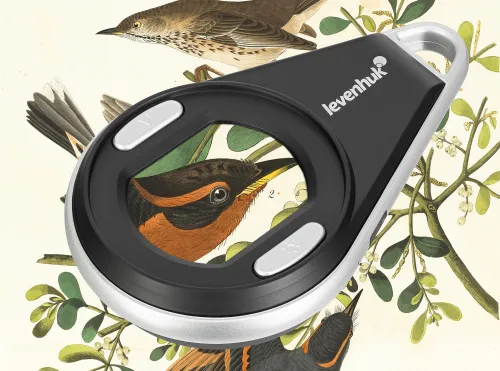 Лупа цифровая Levenhuk ERGO 10,  4