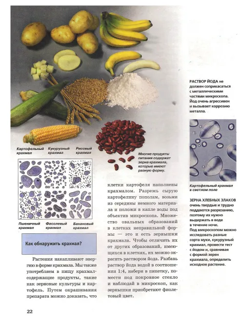 Микроскоп. Детская энциклопедия Levenhuk,  3