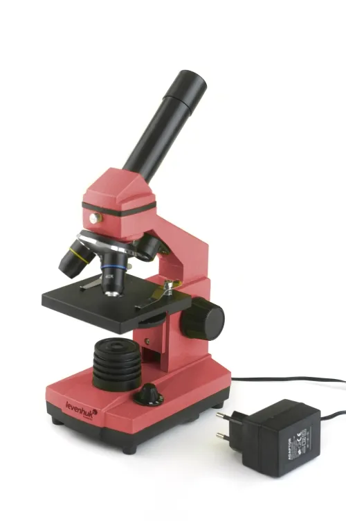 Биологический микроскоп Levenhuk Rainbow 2L Pink,  4