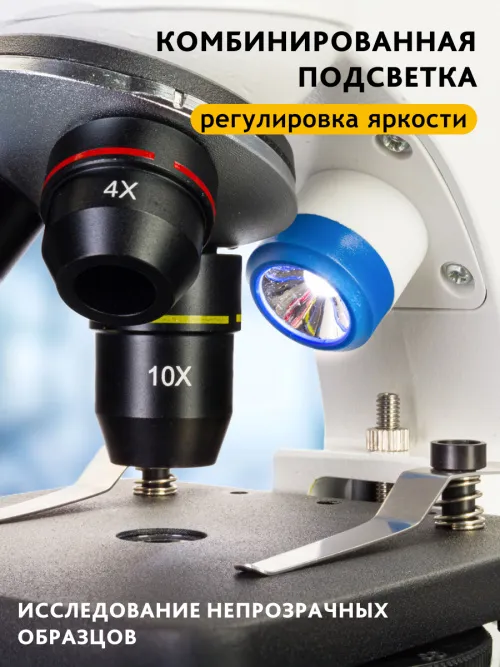 Микроскоп Levenhuk Discovery Pico с книгой,  20