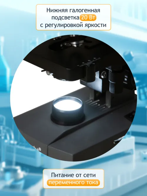 Микроскоп Levenhuk 320 BASE, монокулярный,  30