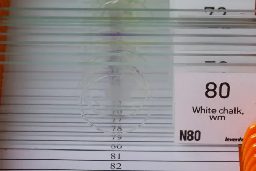 Набор микропрепаратов Levenhuk N80 NG «Увидеть все!»,  7