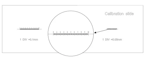 Слайд калибровочный MAGUS CS3 (0,01/0,05/0,1),  6