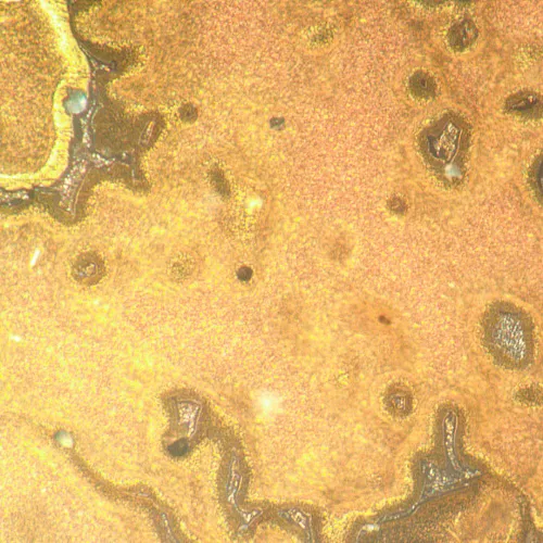 Микроскоп металлографический инвертированный MAGUS Metal V790 DIC,  21