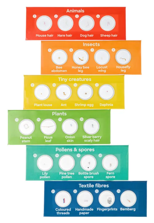 Набор микропрепаратов Levenhuk Discovery «Флора и фауна», 24 шт.,  3