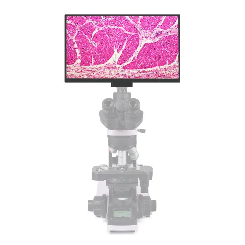 Камера цифровая MAGUS Vision 80 LCD,  3