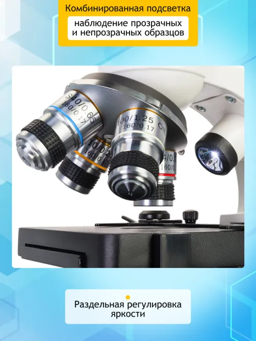 Микроскоп цифровой Levenhuk Discovery Atto Polar с книгой,  20
