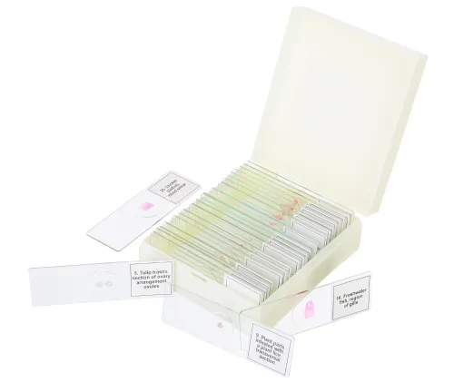 Набор микропрепаратов Levenhuk Discovery Prof DPS 25. «Биология, Птицы и др.»,  5