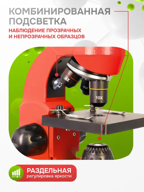 Микроскоп Levenhuk Rainbow 50L PLUS,  32