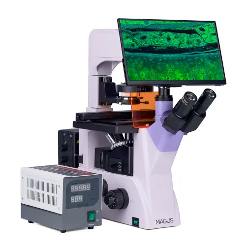 Микроскоп люминесцентный инвертированный цифровой MAGUS Lum VD500 LCD,  4