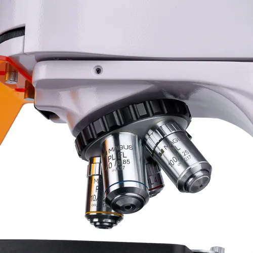 Микроскоп люминесцентный MAGUS Lum 400L,  12