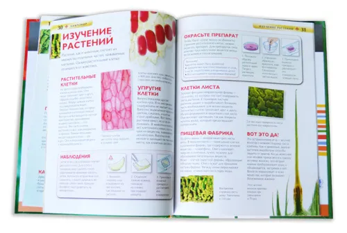 Микромир. Детская энциклопедия Levenhuk,  3