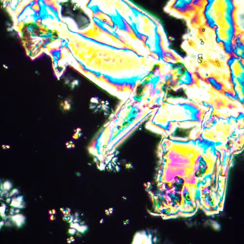 Микроскоп поляризационный MAGUS Pol 890,  25