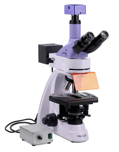 Микроскоп люминесцентный цифровой MAGUS Lum D400L,  4