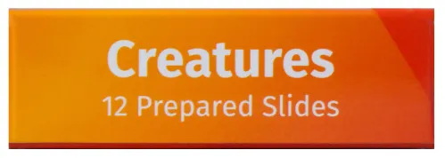 Набор микропрепаратов Levenhuk LabZZ C12, существа,  8