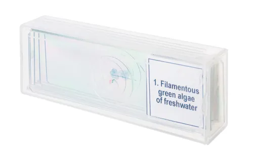 Набор микропрепаратов Levenhuk Discovery Prof DPS 5. «Биология»,  4