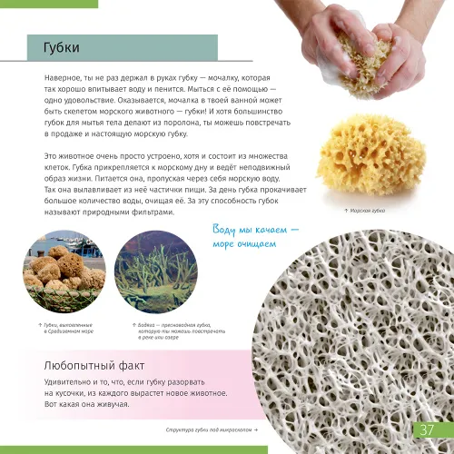 Книга знаний в 2 томах. «Космос. Микромир». Твердая обложка,  11