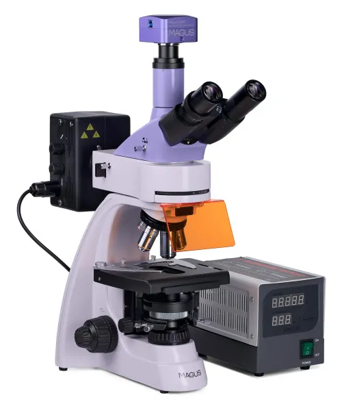 Микроскоп люминесцентный цифровой MAGUS Lum D400,  4