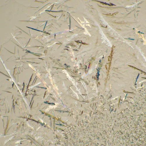 Микроскоп биологический цифровой MAGUS Bio D230T,  26