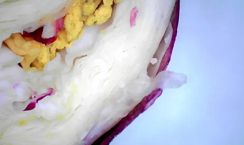 Микроскоп цифровой Levenhuk DTX 720 WiFi,  15