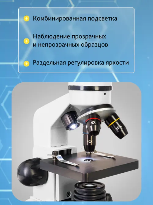 Микроскоп Levenhuk Rainbow 2L,  18