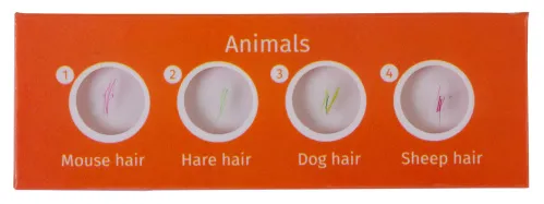 Набор микропрепаратов Levenhuk LabZZ CP24, существа и растения,  2