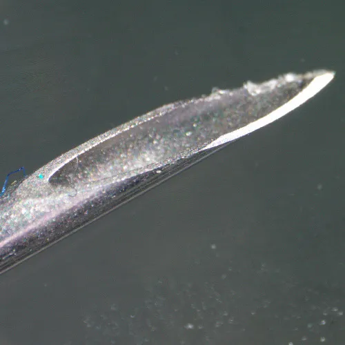 Микроскоп стереоскопический цифровой MAGUS Stereo D9T,  26