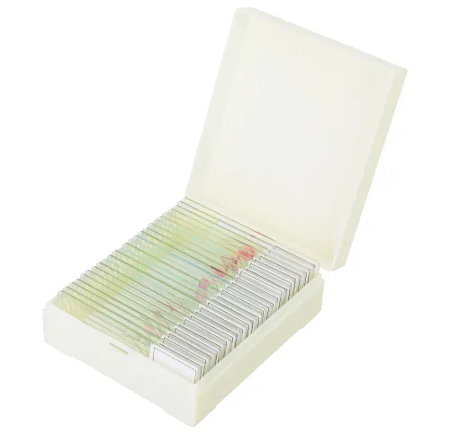 Набор микропрепаратов Levenhuk Discovery Prof DPS 25. «Биология, Птицы и др.»,  7