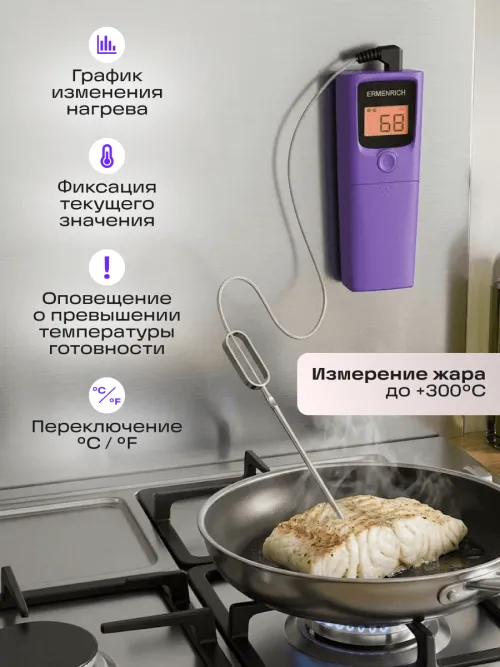 Термометр для мяса Ermenrich BBQ GT20,  19