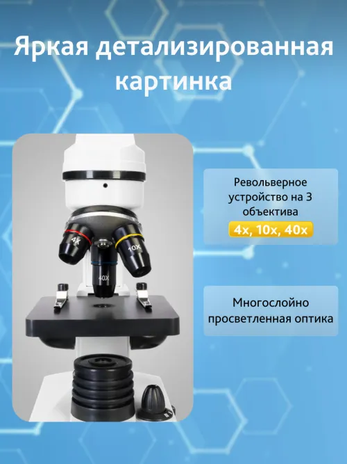 Микроскоп Levenhuk Rainbow 2L,  17