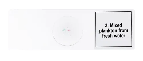 Набор микропрепаратов Levenhuk Discovery Prof DPS 5. «Жизнь в капле воды»,  7