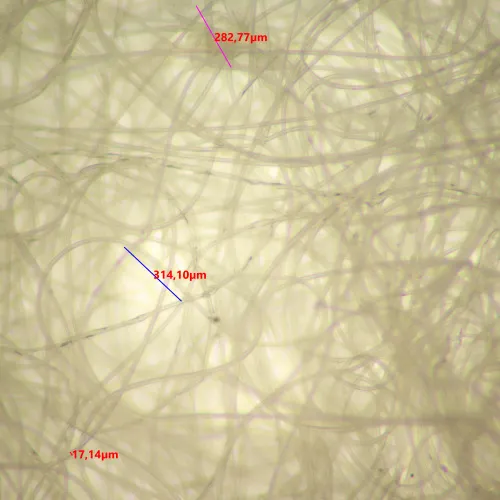 Микроскоп стереоскопический цифровой MAGUS Stereo D9T LCD,  26