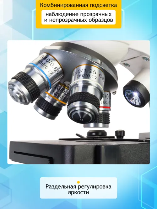 Микроскоп Levenhuk Discovery Atto Polar с книгой,  19