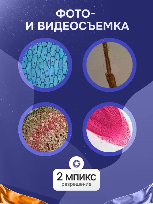 Микроскоп Levenhuk Rainbow D50L PLUS, 2 Мпикс, Moonstone\Лунный камень,  30