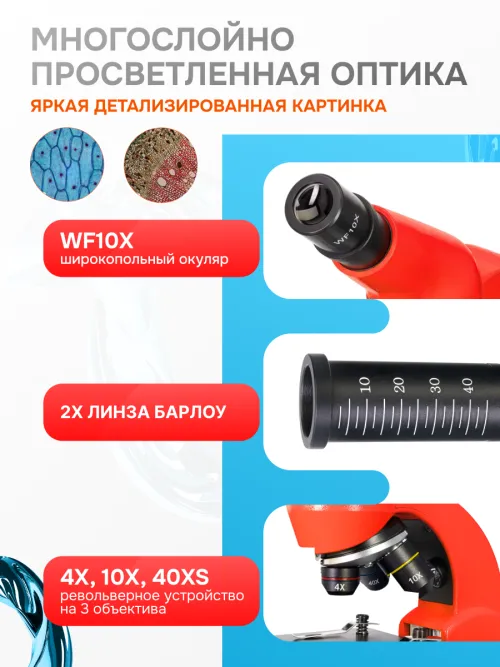 Микроскоп Levenhuk Rainbow 50L,  22